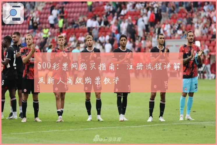 500彩票网购买指南：注册流程详解及新人高效购票教学