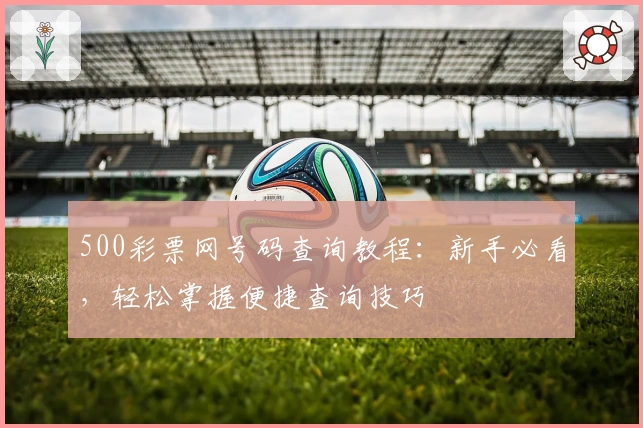 500彩票网号码查询教程：新手必看，轻松掌握便捷查询技巧